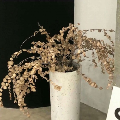 兽设复古风格设计福瑞交流群